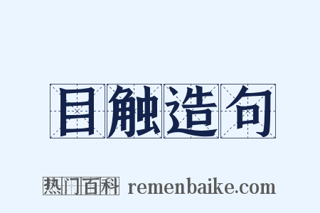 目触造句是什么意思的图片